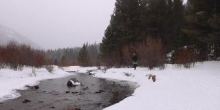 在冰冻的风景中沿着河边行走的徒步旅行者