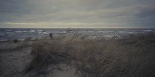 波罗的海冬季风暴的背景沙丘
