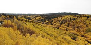 Grand Mesa国家森林秋天的风景在西科罗拉多4K系列视频