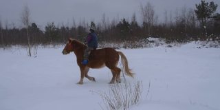 冬天，一匹马和骑手在田野里慢跑