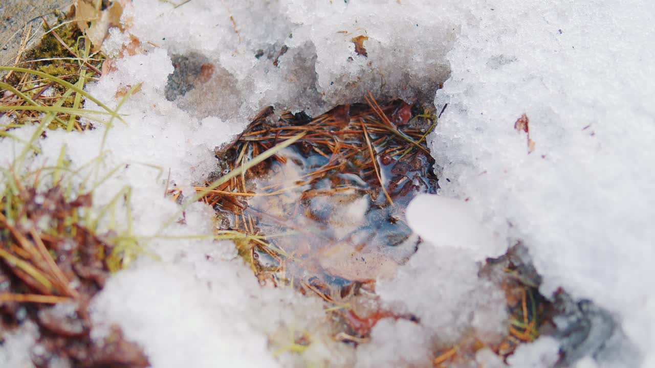 在晴朗的日子里，水滴落在融化的雪上