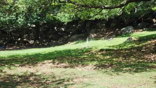 在一个阳光明媚的夏天，花园洒水器浇灌着郁郁葱葱的青草、鲜花和树木。草坪自动洒水系统视频素材模板下载