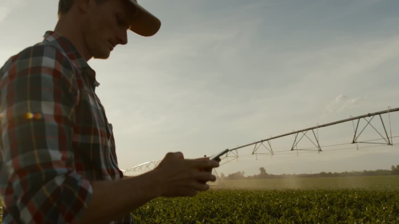 农民站在灌溉的玉米田中间使用智能手机