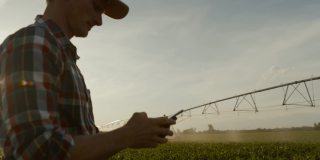 农民站在灌溉的玉米田中间使用智能手机