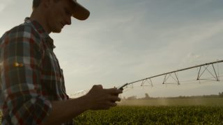 农民站在灌溉的玉米田中间使用智能手机视频素材模板下载