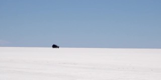 小型(因为距离大)黑色吉普车行驶在广阔的白色盐碱地沙漠中。摄像机从左向右移动。
