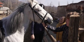 在动物救助中心，兴奋的游客们抚摸着这匹白色的种马