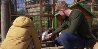 一名敬业的女性志愿者，在动物救援协会向一名男性访客解释关于兔子的一切
