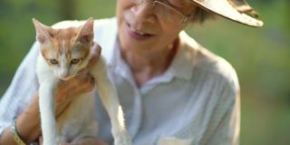 年长的亚洲女人与猫