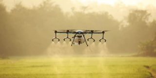 农业无人机在稻田里喷洒肥料。
