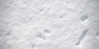 第一个人看到一个人穿着黑靴子走在雪地里。在厚厚的雪地上留下足迹。