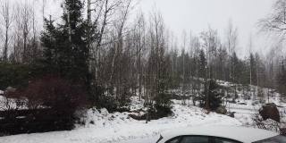 二月份，芬兰有潮湿的降雪