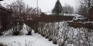 二月份，芬兰有潮湿的降雪