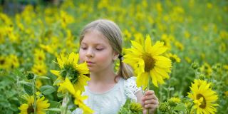 肖像美丽的女孩与黄色的向日葵在农村的田野。近距离特写浪漫少女与向日葵摆姿势在农村草地。