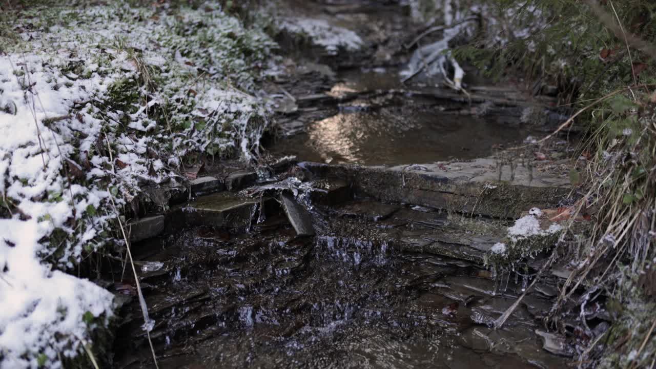 冬季森林中小溪的镜头