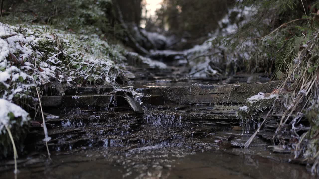 冬季森林中小溪的镜头