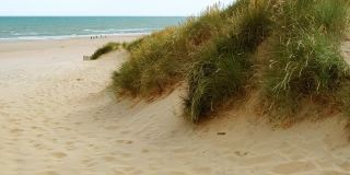 英国东苏塞克斯坎伯沙滩的沙丘