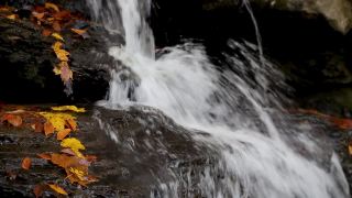 秋季飞溅小瀑布环视频素材模板下载