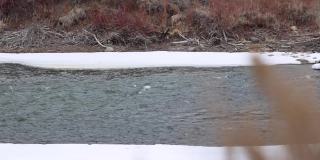 慢镜头盘在雪域科罗拉多荒野的河流上
