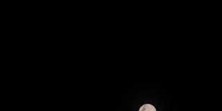 满月之夜，黑暗晴朗的天空。月球沿垂直线在太空中上升。在春暖花开的夜晚，一轮美丽的满月即将来临。晚上自然风景