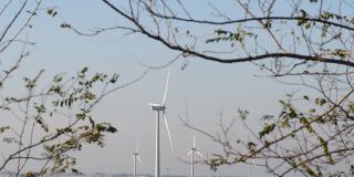 风力涡轮机产生可再生电力，缩小范围