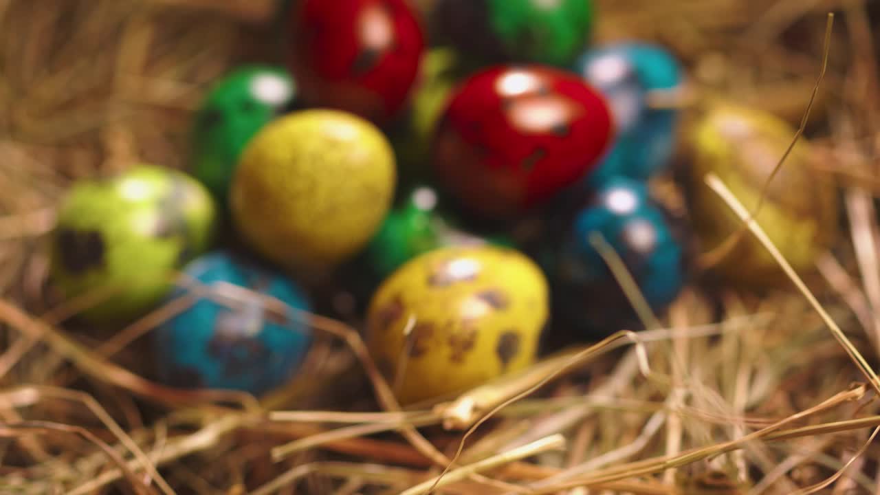 复活节鹌鹑蛋在干草上，女性手把蛋放在堆上的特写视频