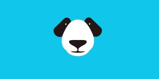 熊猫运动图形动画，摇头，点头，全高清分辨率