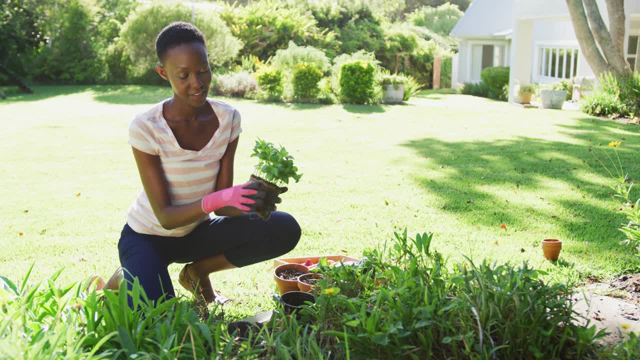 非洲裔美国妇女种植植物在阳光灿烂的花园对着镜头微笑