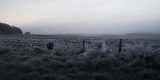 冬天的早晨，白霜覆盖着田野