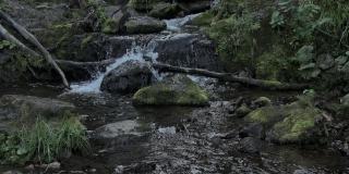 夏日森林中的小瀑布。河床上覆盖着岩石和苔藓。潮湿的树干躺在小溪里。水溅到岩石上