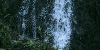 水从覆盖着湿苔藓的悬崖上倾泻而下。在瀑布前，草地和绿色的灌木生长在岸边。雨林中的山涧。