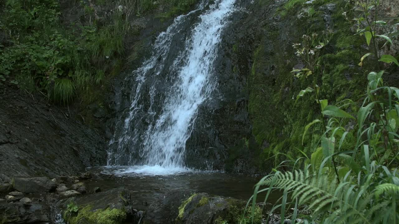 山上的瀑布在小池塘的岩石之间瀑布。泉水在长满青苔的石头上流淌。湖岸的绿草和蕨类植物的叶子。雨林中的Fast creek