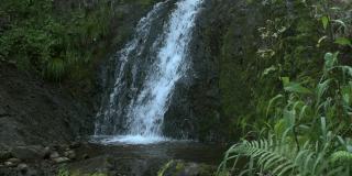 山上的瀑布在小池塘的岩石之间瀑布。泉水在长满青苔的石头上流淌。湖岸的绿草和蕨类植物的叶子。雨林中的Fast creek