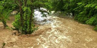 暴雨过后河水泛滥