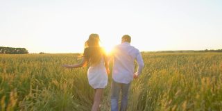 幸福的年轻夫妇手牵着手跑过麦田在夏季日落，有乐趣的户外。农村,夏天的时间。男人和女人，幸福的家庭在爱，自然。太阳耀斑