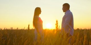 浪漫的年轻幸福的夫妇剪影在金色的麦田日落。女人和男人在阳光下拥抱亲吻，太阳镜头的光晕。爱，幸福的家庭，自然，户外。慢镜头,120 fps