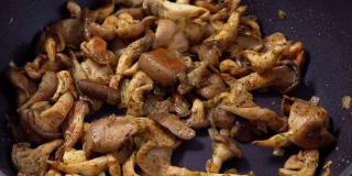 炒蚝油蘑菇与洋葱和香料。有选择性的重点。烹饪食物