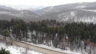 冰冻的冬天森林- 4k视频从空中视频素材模板下载