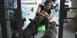 快乐的亚洲女人在家里训练她的法国斗牛犬。