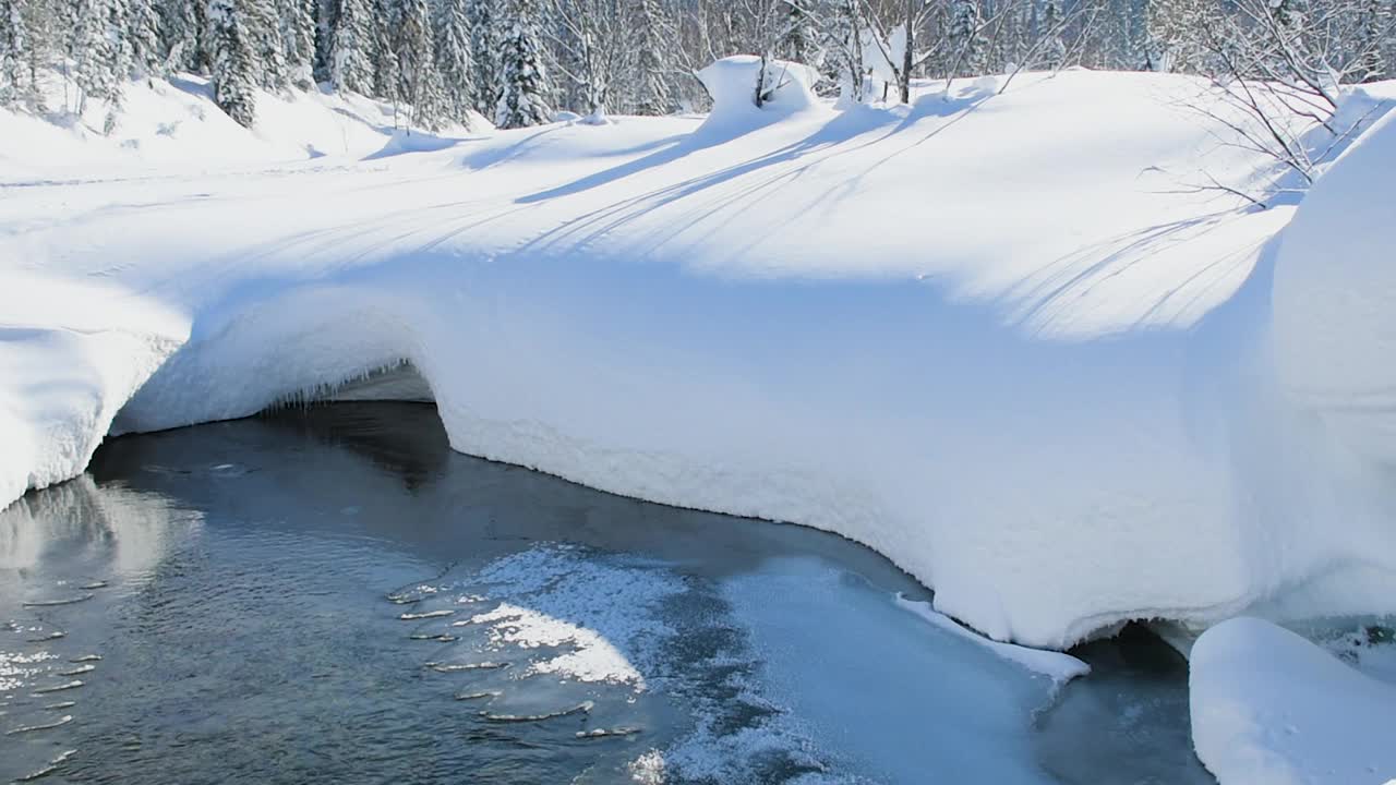 在春天冰雪融化的时候，山间的河流穿过森林里的雪堆