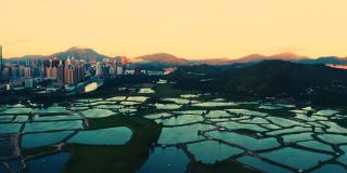 香港的养鱼场和城市景观