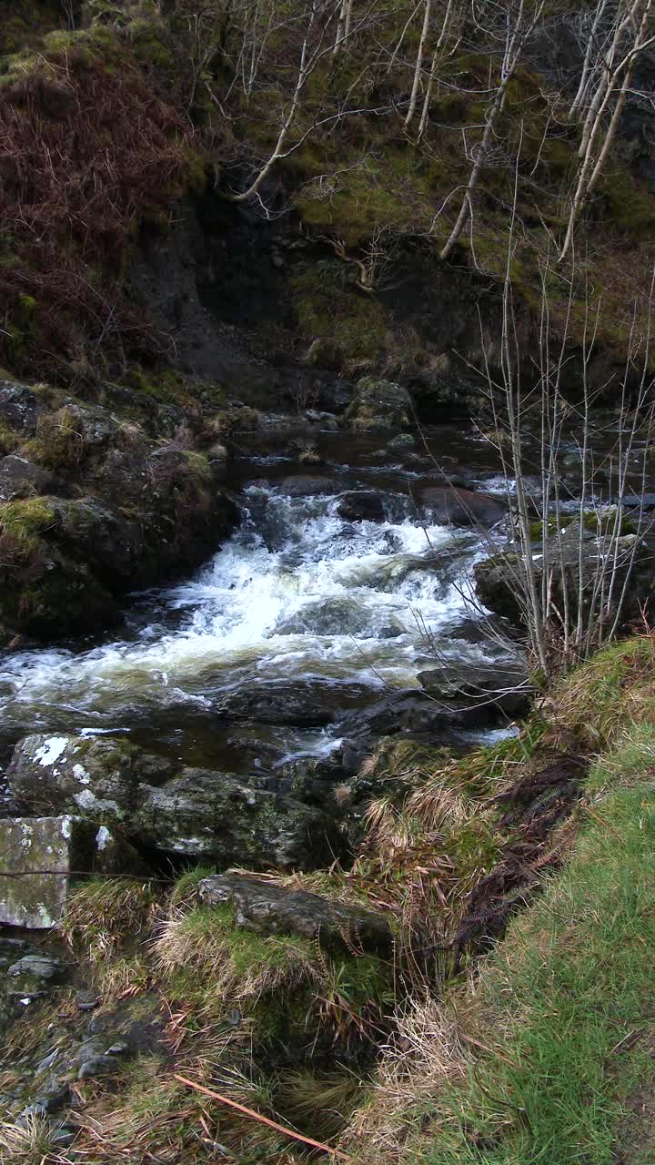 苏格兰一条小河在春天的慢镜头