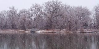 科罗拉多州北部的一个小湖遭遇了暴风雪