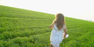 一个孩子在玩纸飞机。她笑着，微笑着。可爱的小女孩在田野里拿着纸飞机。美的概念、自然、自由、大梦想、童年、幸福家庭、旅游、夏日时光、假期、情感、幸福