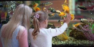 孩子，小女孩看，看鱼在一个水族馆在商场。宠物店。妈妈和她的小女儿在商场看海洋水族馆。幸福的家庭