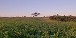 大豆作物中的无人机。