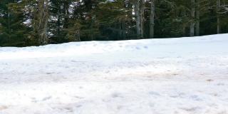 一个十几岁的男孩在积雪覆盖的道路上拉着雪橇去滑雪