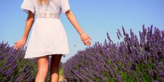 生活方式与一个年轻的金发白种女人漫步在一个夏天的下午紫色的薰衣草田在白色的裙子和帽子。手捧薰衣草，漫步抚摸