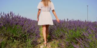 生活方式与一个年轻的金发白种女人漫步在一个夏天的下午紫色的薰衣草田在白色的裙子和帽子。跟在一个在薰衣草地里散步的年轻人后面
