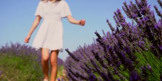 生活方式与一个年轻的金发白种女人漫步在一个夏天的下午紫色的薰衣草田在白色的裙子和帽子。在开着紫色花朵的薰衣草地里享受大自然